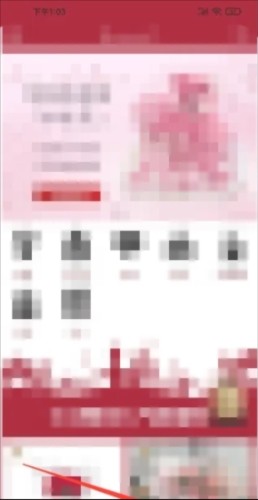 Rosewin鮮花