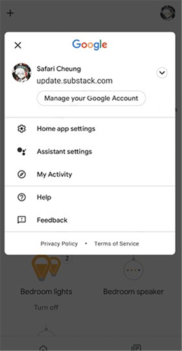 googlehome