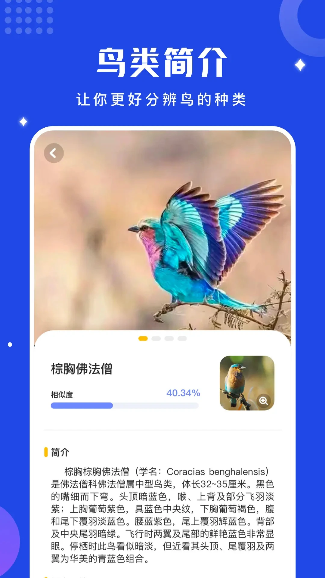 鳥語翻譯器截圖2