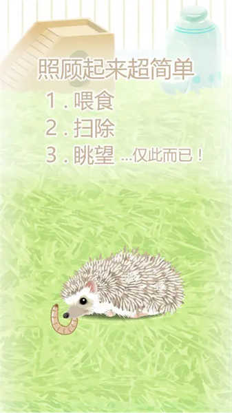 治愈的刺猬育成