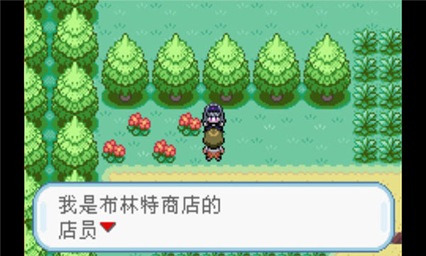 口袋妖怪火紅截圖2