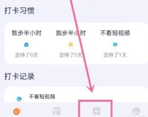 泡泡的日常