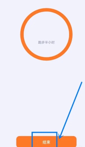 泡泡的日常