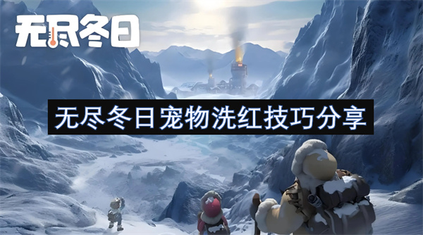 無盡冬日寵物洗紅技巧分享
