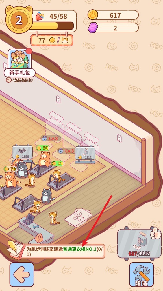 貓咪健身房