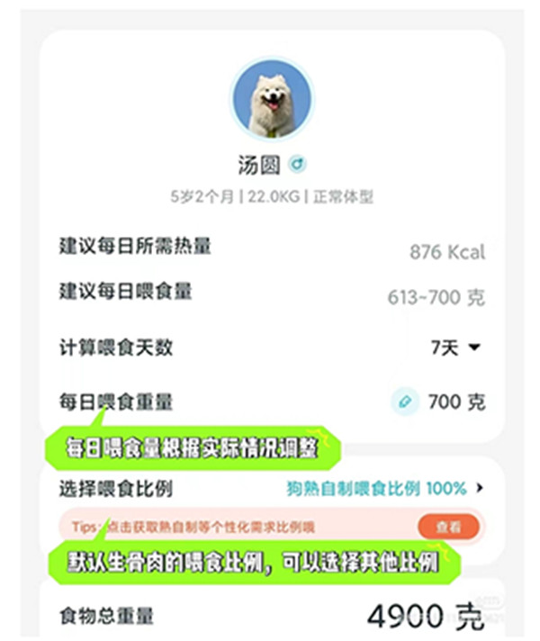 嗷嗚貓狗食譜
