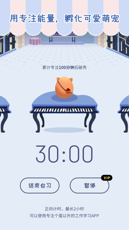 專注崽崽