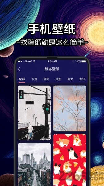 換圖標(biāo)大師