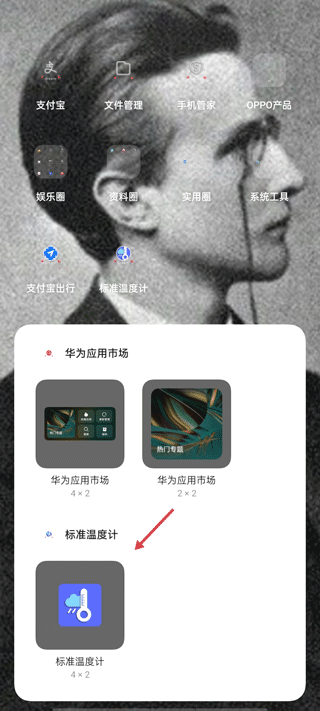 標(biāo)準(zhǔn)溫度計(jì)手機(jī)版