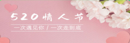 520束玫瑰花圖