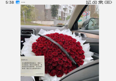 520束玫瑰花圖