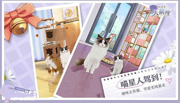 夢間集天鵝座