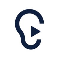 訊飛聽見錄音轉(zhuǎn)文字