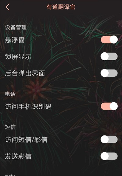 有道翻譯官軟件