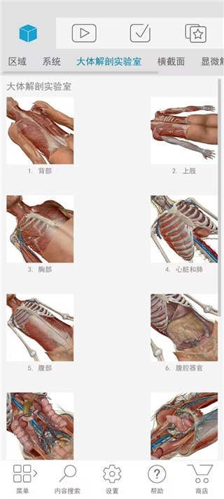 Atlas人體解剖