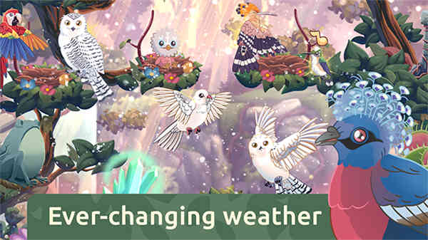 鳥(niǎo)類世界截圖3