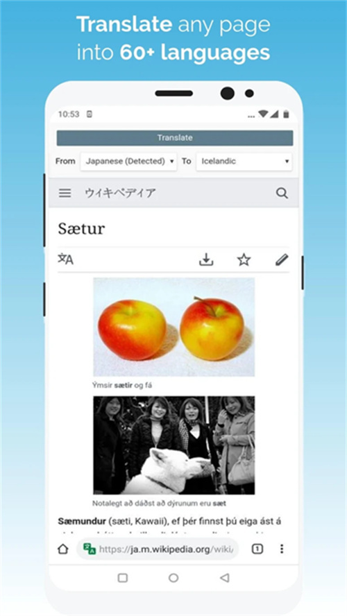 kiwi瀏覽器助手截圖4