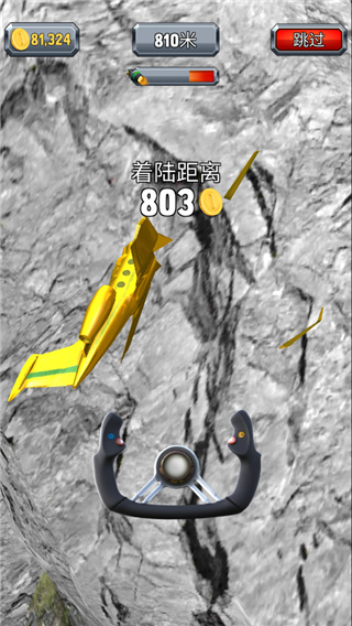 瘋狂的飛機著陸