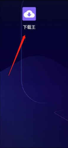 下載王app官方版圖片3