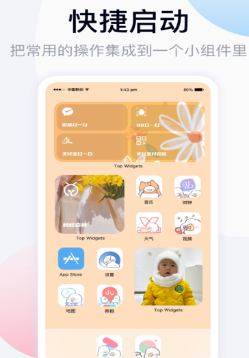 Top Widgets
