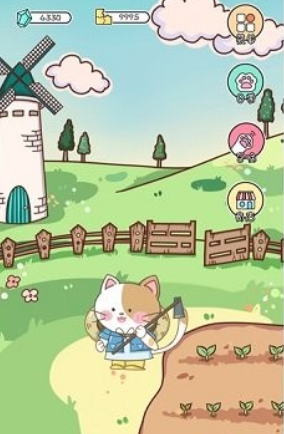 萌小喵日記