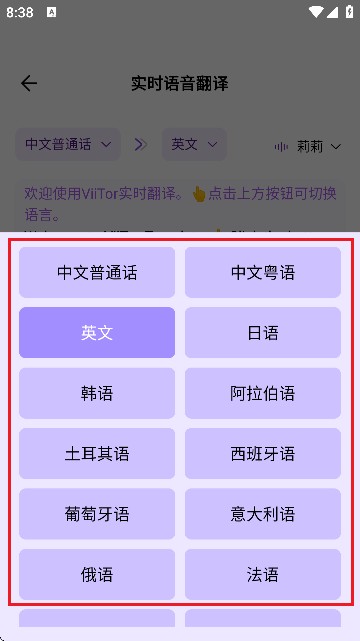 viitor實時翻譯