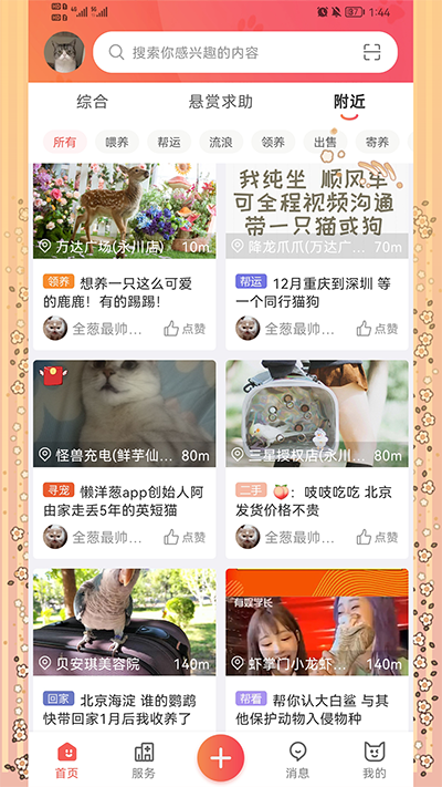 懶洋蔥截圖5