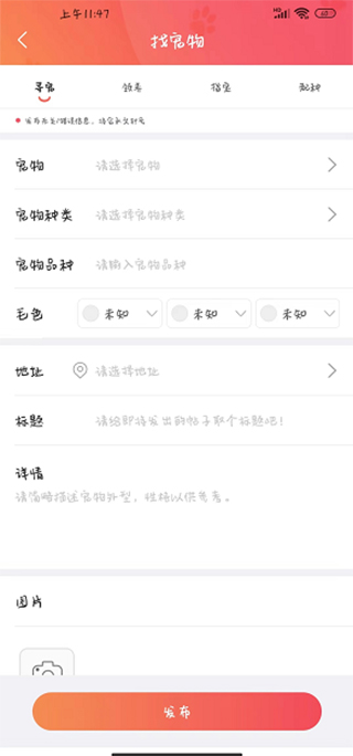 懶洋蔥