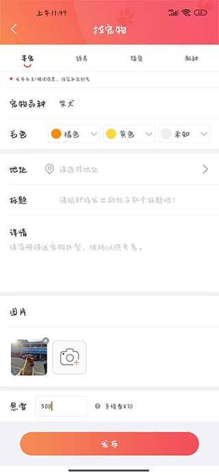 懶洋蔥