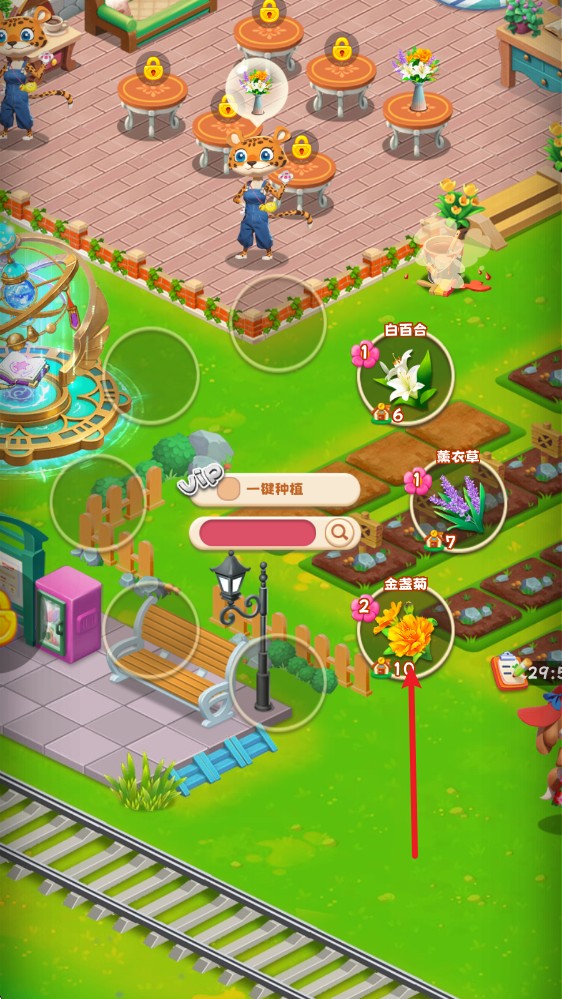 動(dòng)物花店