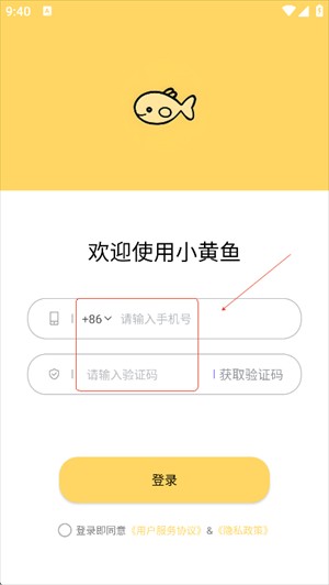 小黃魚寫作