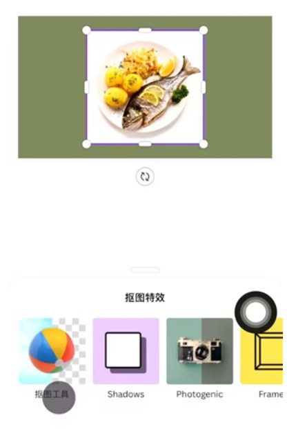 Canva