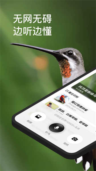 懂鳥(niǎo)截圖4