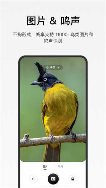 懂鳥(niǎo)截圖6