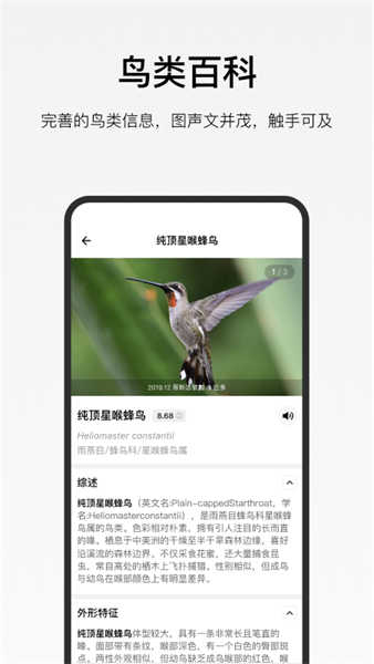 懂鳥(niǎo)