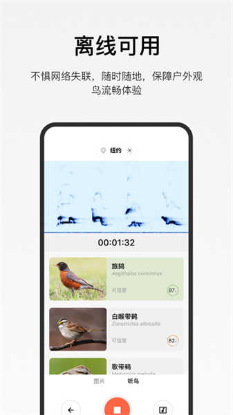 懂鳥(niǎo)