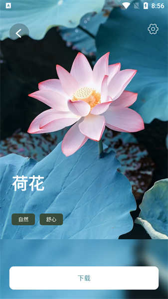 睡眠音樂