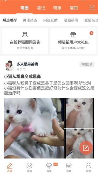 領(lǐng)喵截圖1