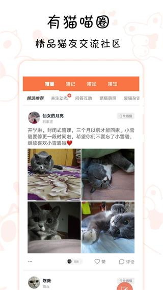 領(lǐng)喵截圖4