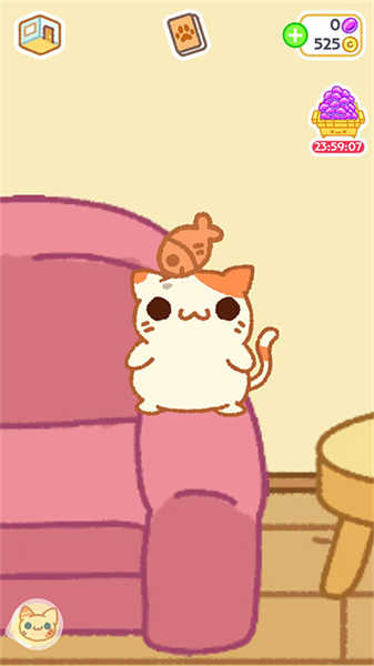 小偷貓2