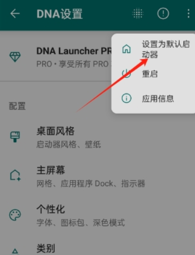 DNA桌面中文版