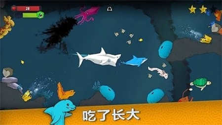 皇家魚截圖1
