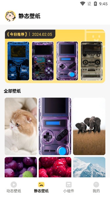 萌趣壁紙