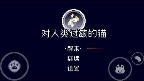 對人類過敏的貓