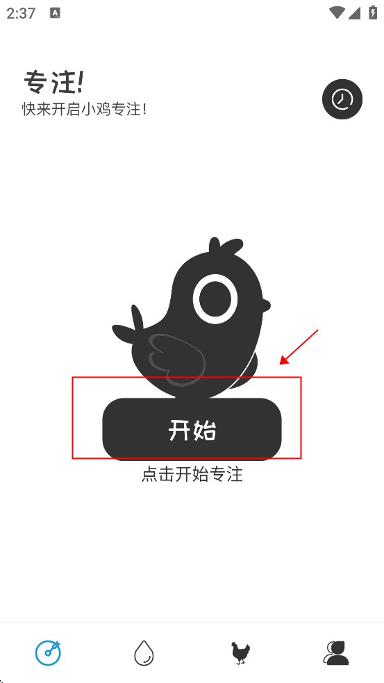 小鸡专注