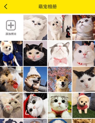 貓語交流翻譯器app