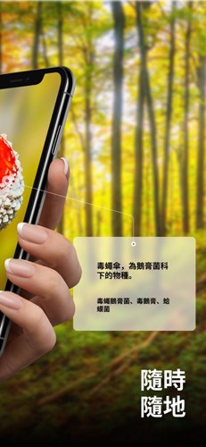 蘑菇識(shí)別軟件