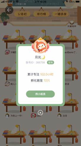 專注崽崽