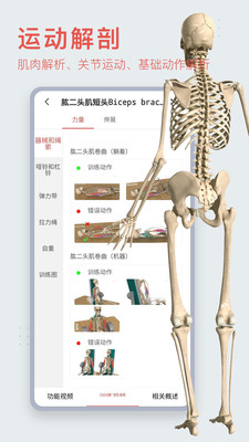 3dbody解剖圖截圖3