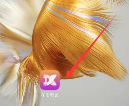 花瓣剪輯軟件